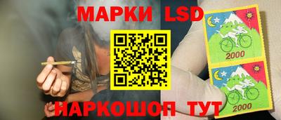 Альфа ПВП Железноводск