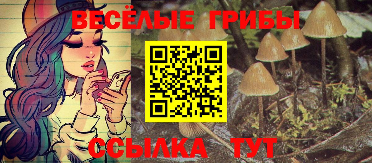 Псилоцибиновые грибы прущие грибы Губаха