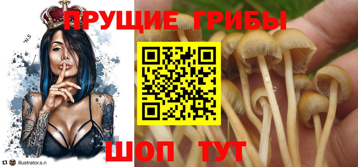 Псилоцибиновые грибы мухоморы  Вход с VPN  Губаха 